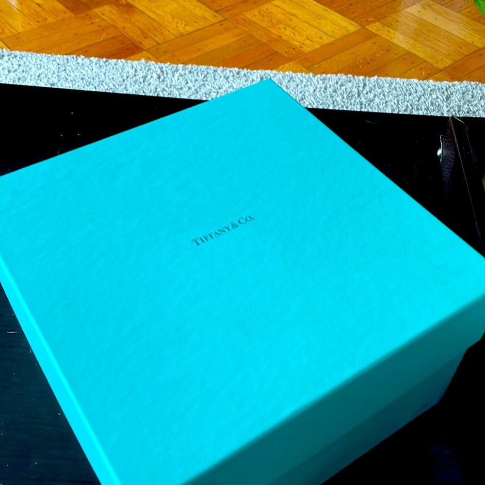 New Tiffany & CO. Bear and Block 3 Piece China Set. Made in Japan